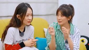 吃瓜娱乐台免费观看完整版,免费畅享明星八卦,完整版独家放送